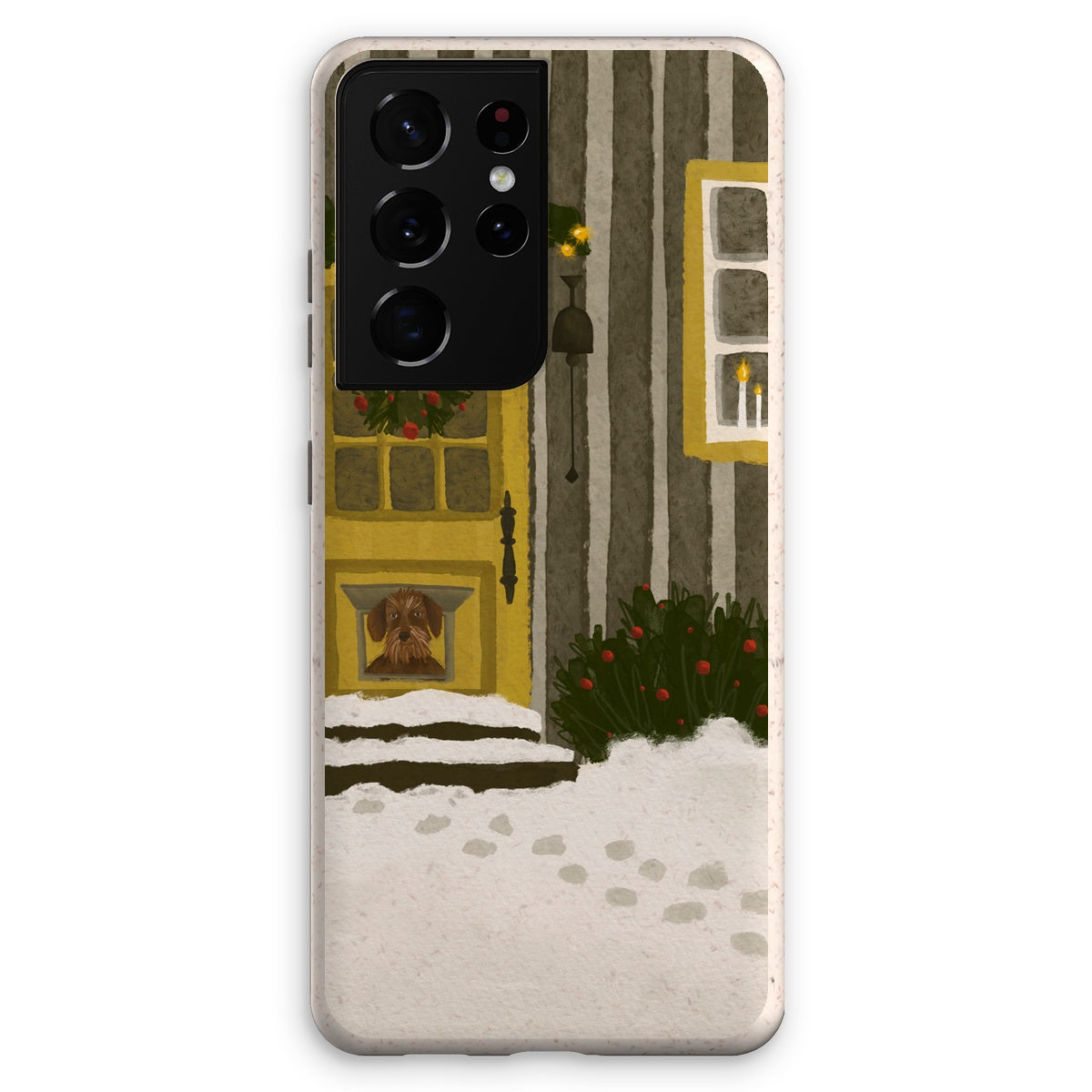 Eco case "After the snow storm"
